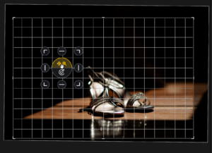 LrSK Crop Panel over a photo of silver shoes, with corner and edge handles and a highlighted Pan/Zoom center control.