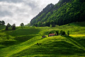 Green hills with small farm buildings and forested mountain slopes in Switzerland.
